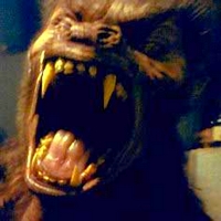 [L.I.]leoleowqy Logo