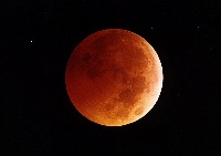 licantropo enfurecido Logo