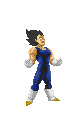 PRINCIPE VEGETA Logo
